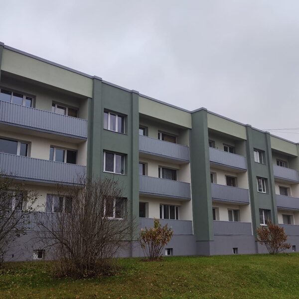 Meža iela 21, Viesīte