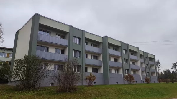 Meža iela 21, Viesīte